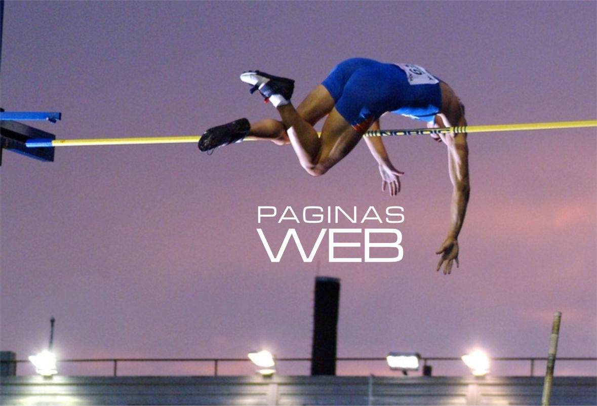 PAGINAS WEB